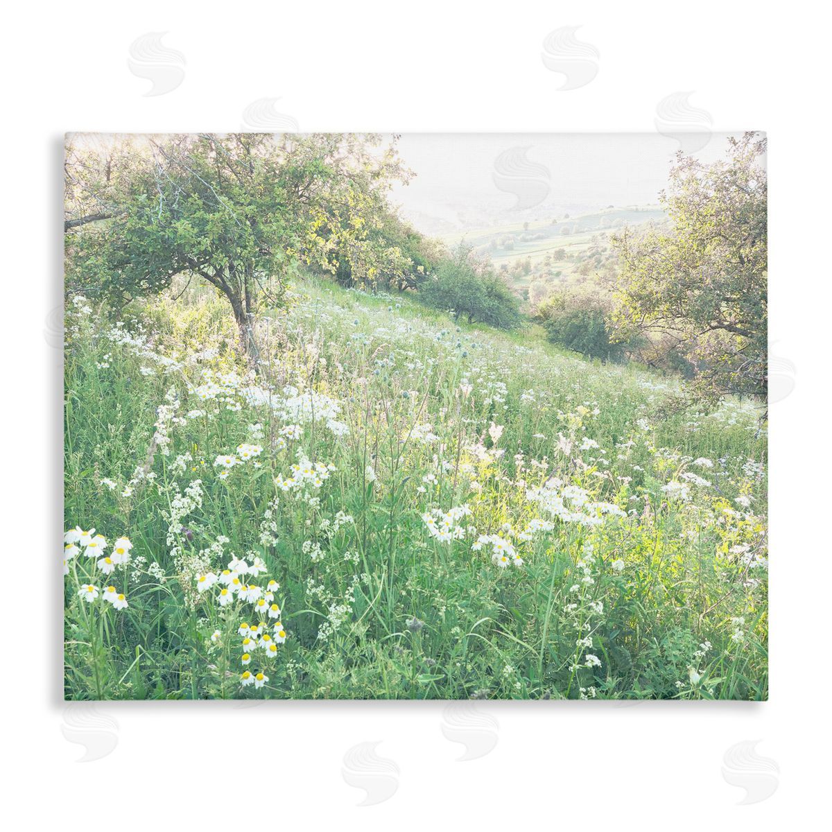 Leah Straatsma Spring Meadow Grassland Field