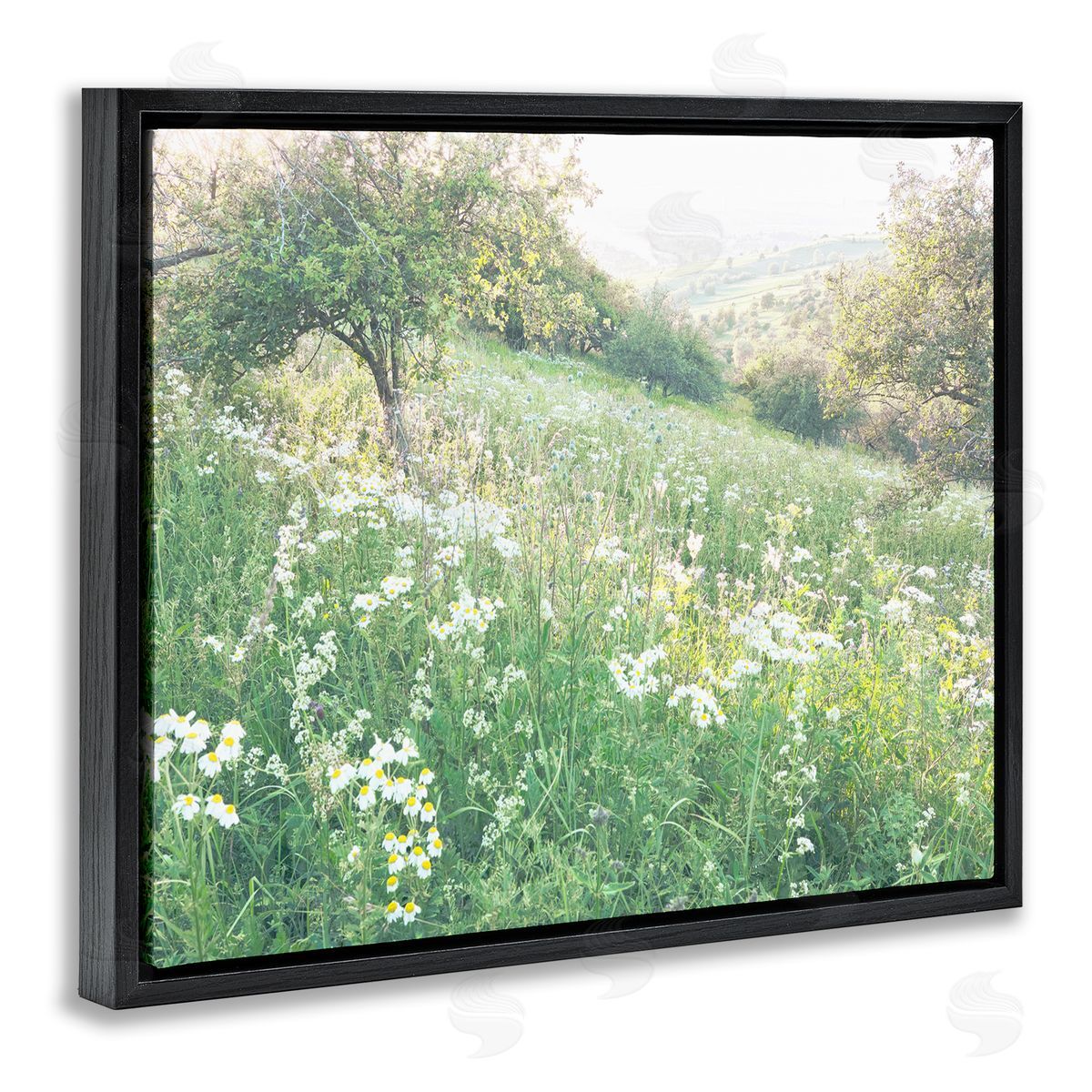Leah Straatsma Spring Meadow Grassland Field