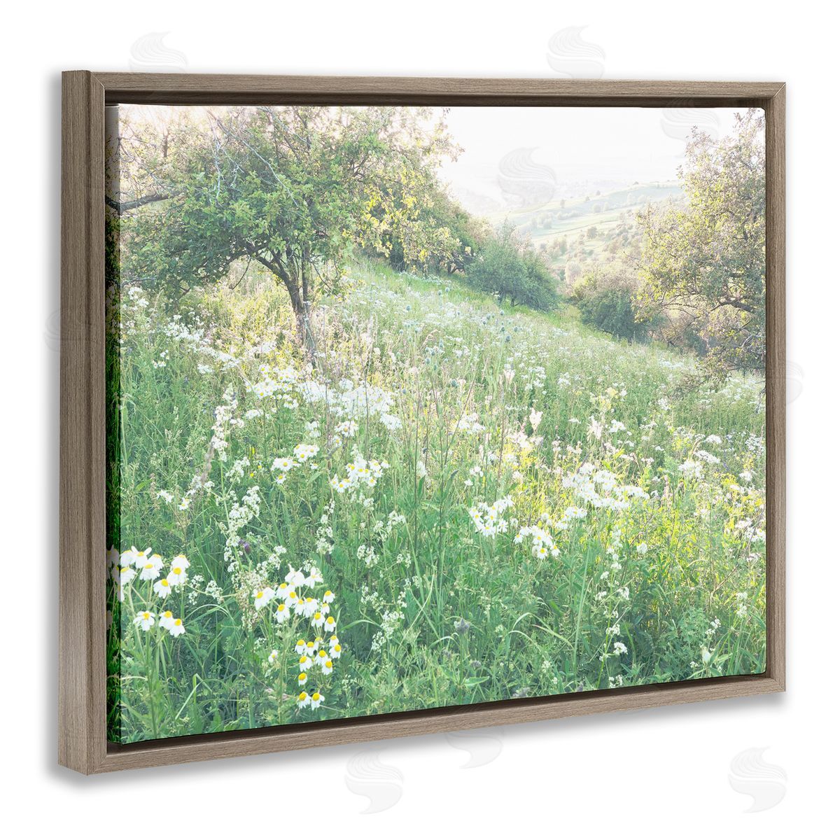 Leah Straatsma Spring Meadow Grassland Field