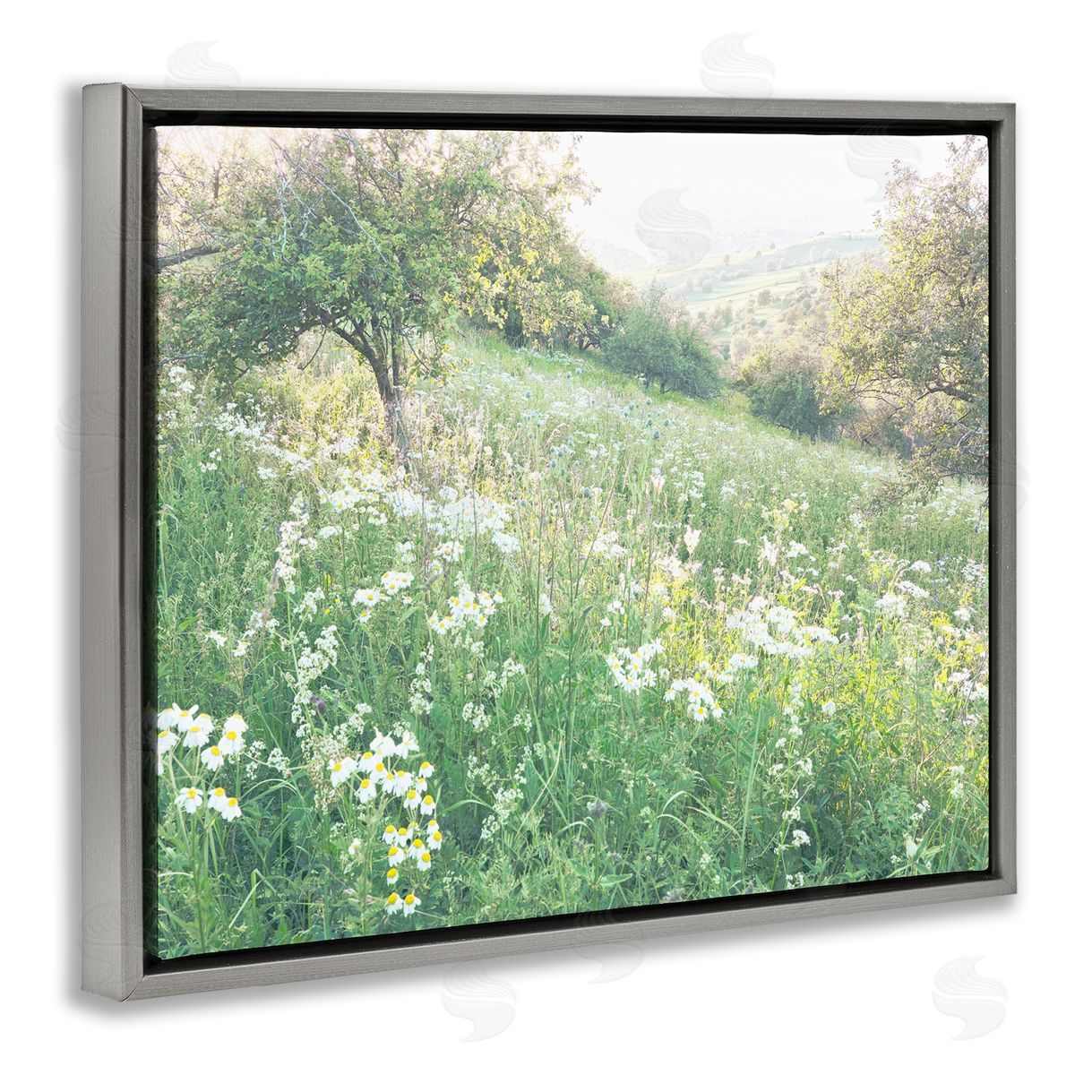 Leah Straatsma Spring Meadow Grassland Field