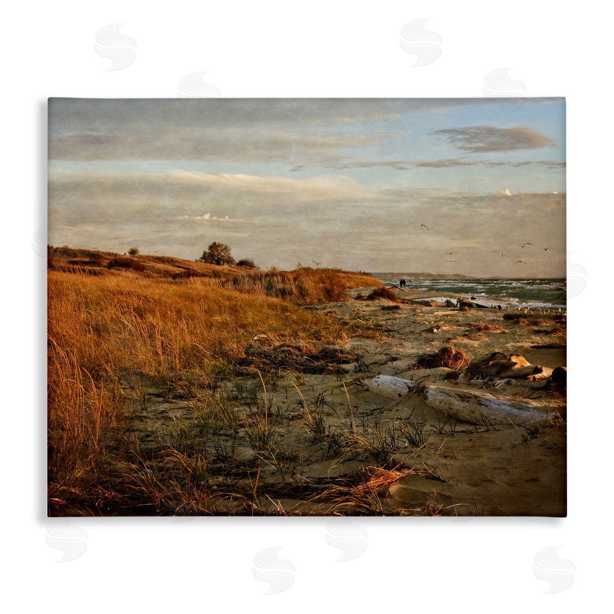 Michelle Calkins Seaside Reeds Coastal Scene