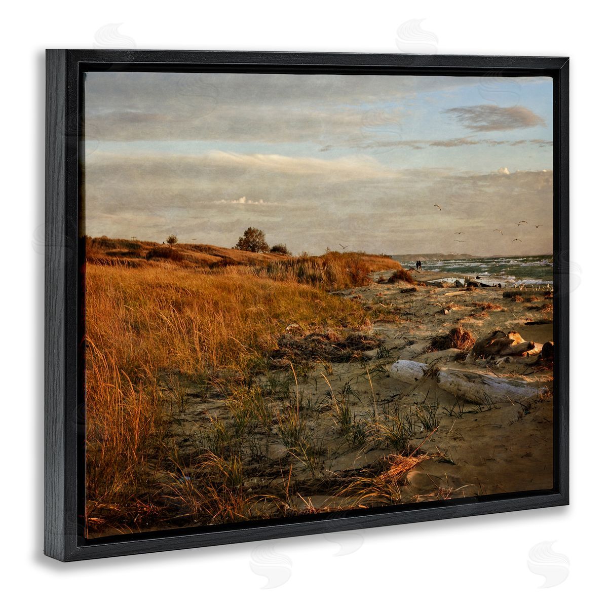 Michelle Calkins Seaside Reeds Coastal Scene