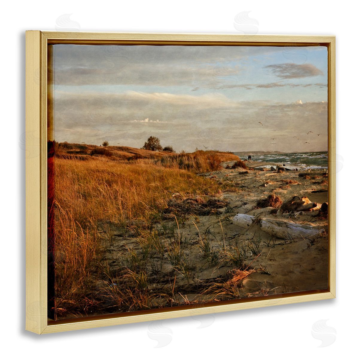 Michelle Calkins Seaside Reeds Coastal Scene