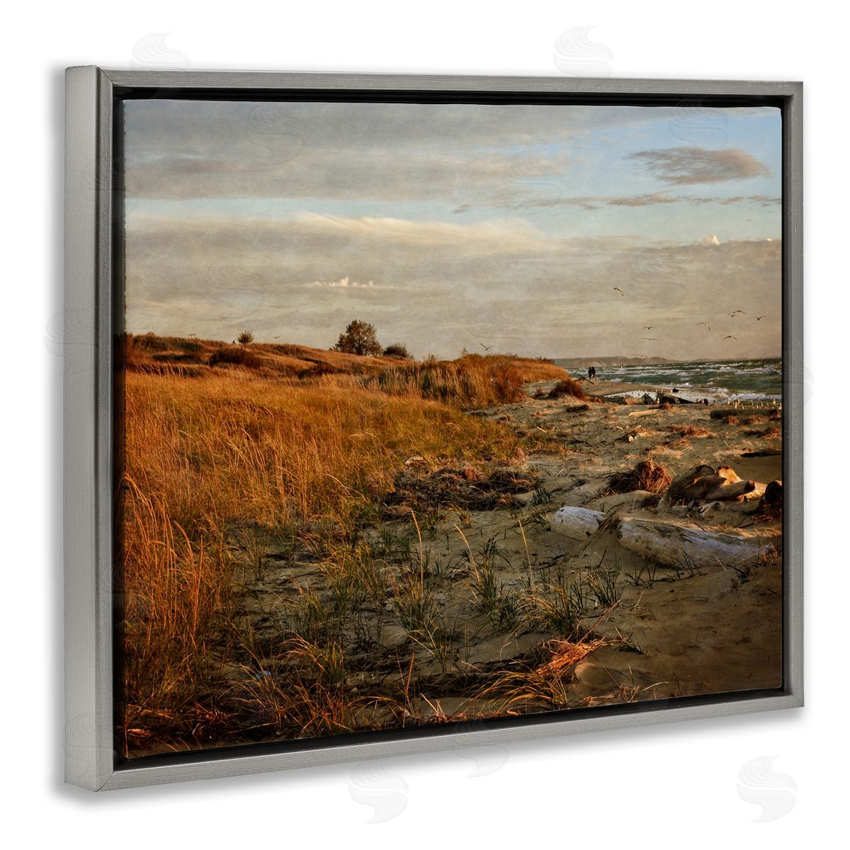 Michelle Calkins Seaside Reeds Coastal Scene