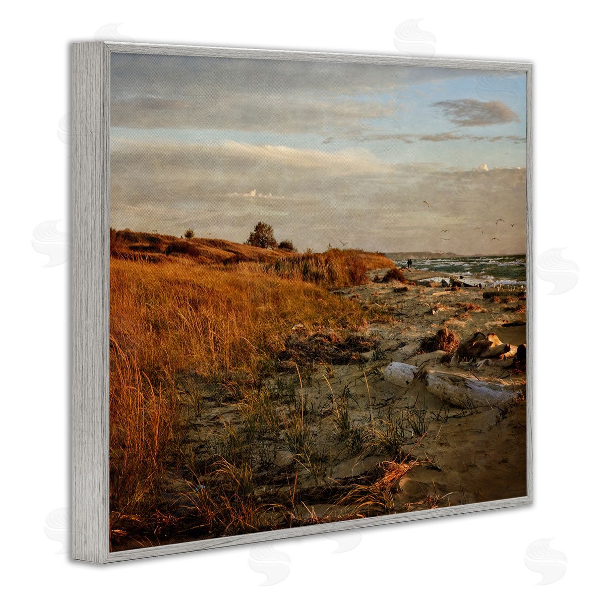 Michelle Calkins Seaside Reeds Coastal Scene