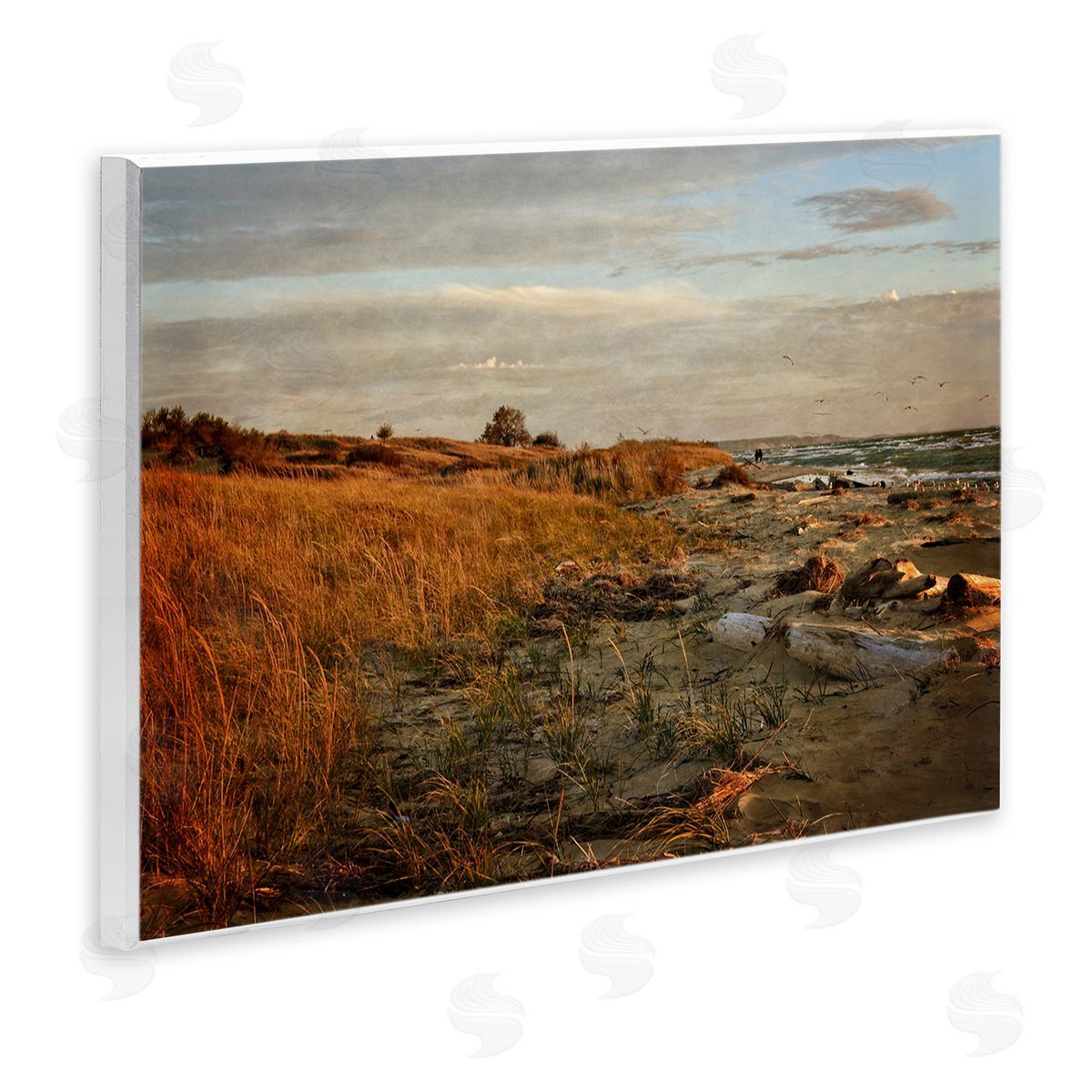 Michelle Calkins Seaside Reeds Coastal Scene