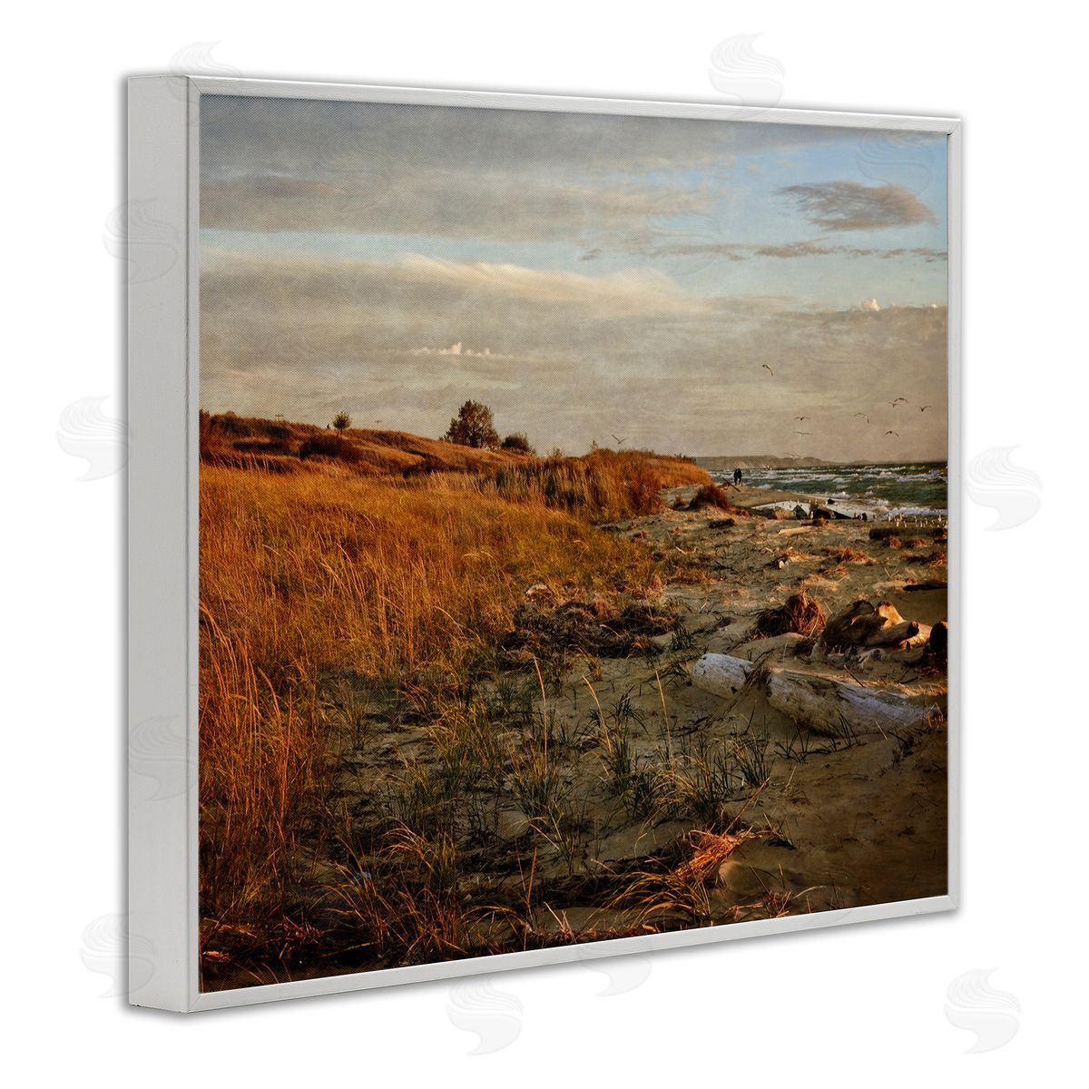 Michelle Calkins Seaside Reeds Coastal Scene