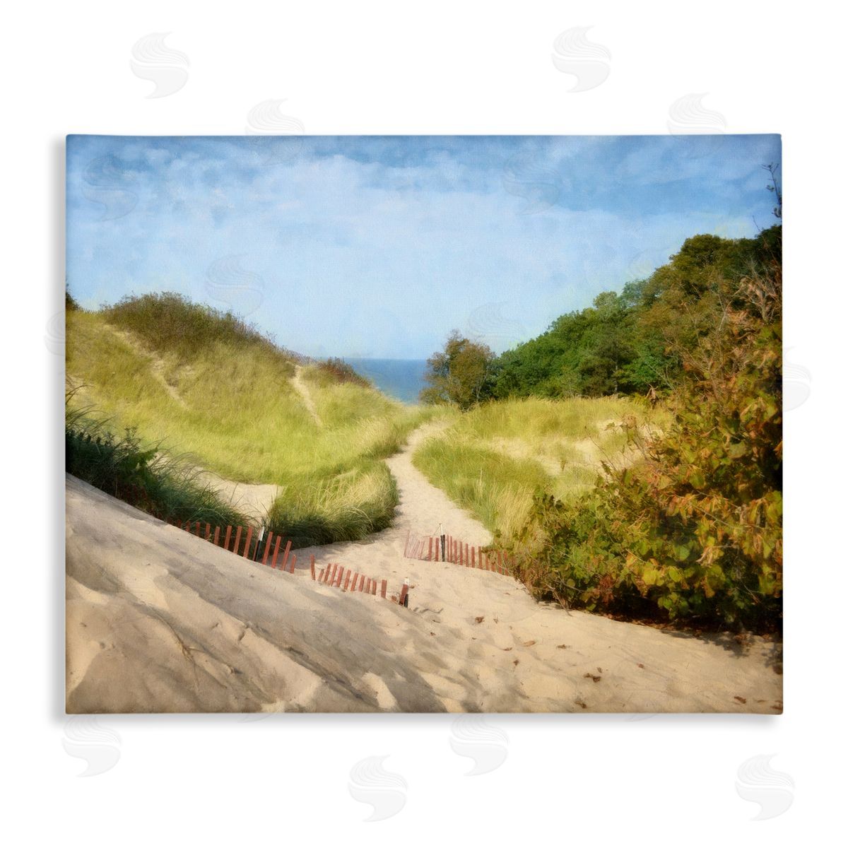 Michelle Calkins Sandy Summer Beach Path