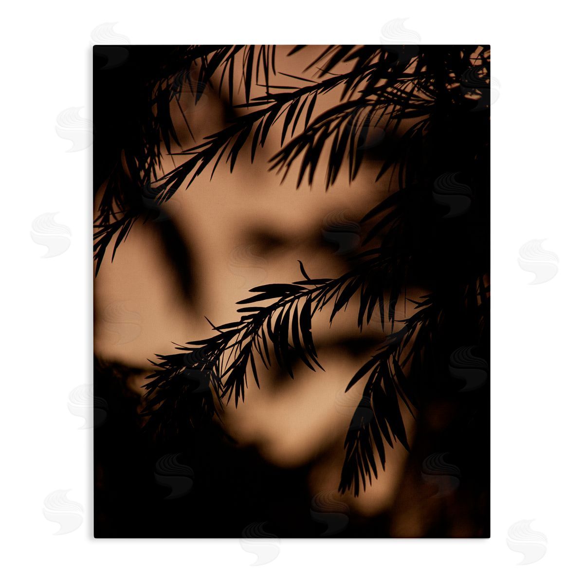 Stupell Studio Night Silhouette Tree Leaves