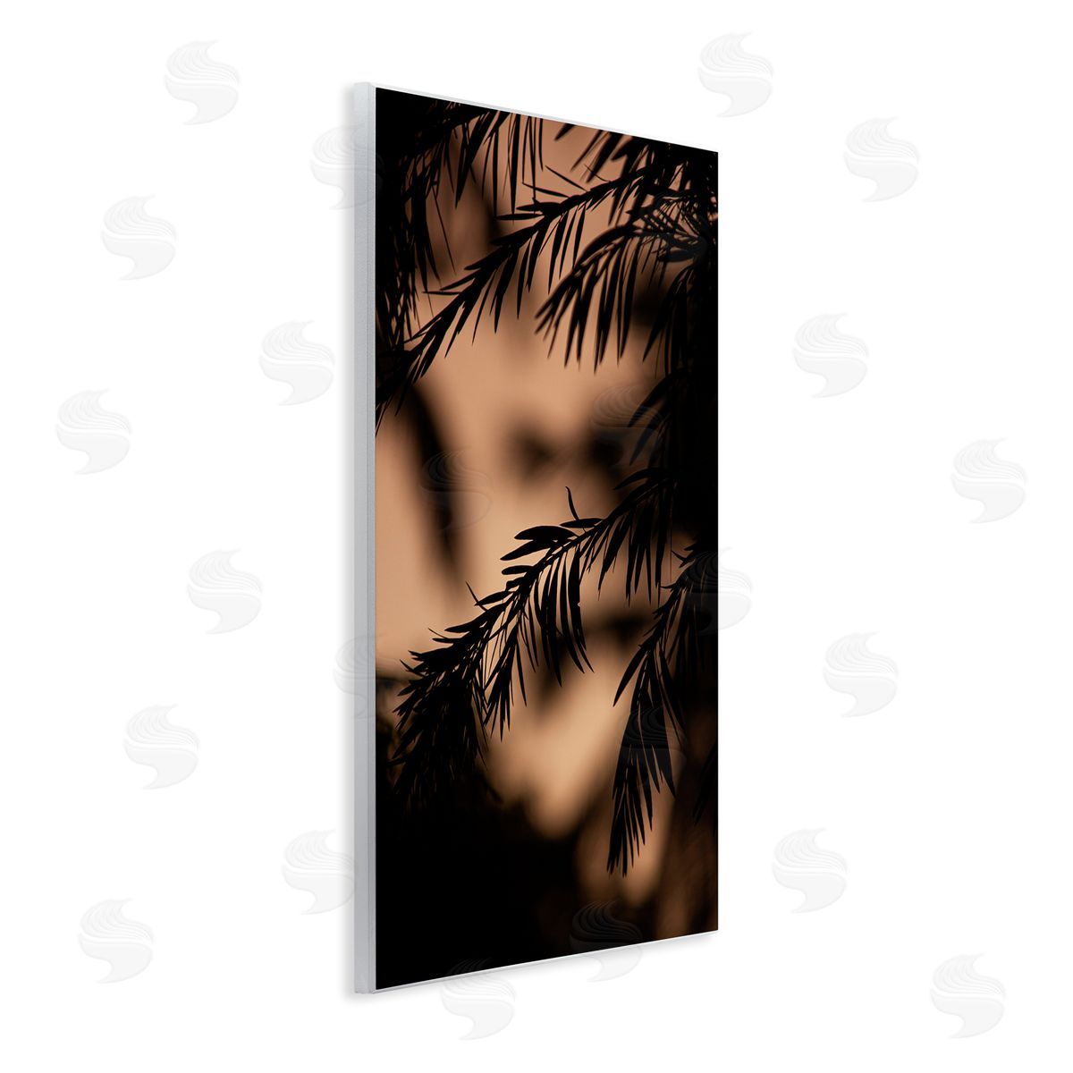 Stupell Studio Night Silhouette Tree Leaves
