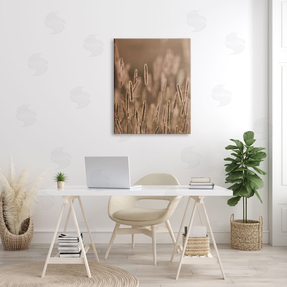 Stupell Studio Rural Wheat Field Nature