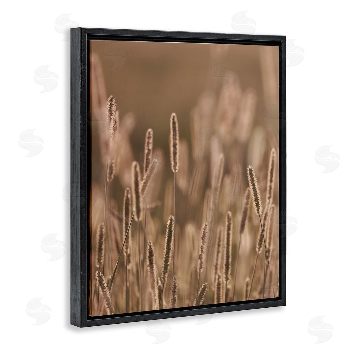 Stupell Studio Rural Wheat Field Nature