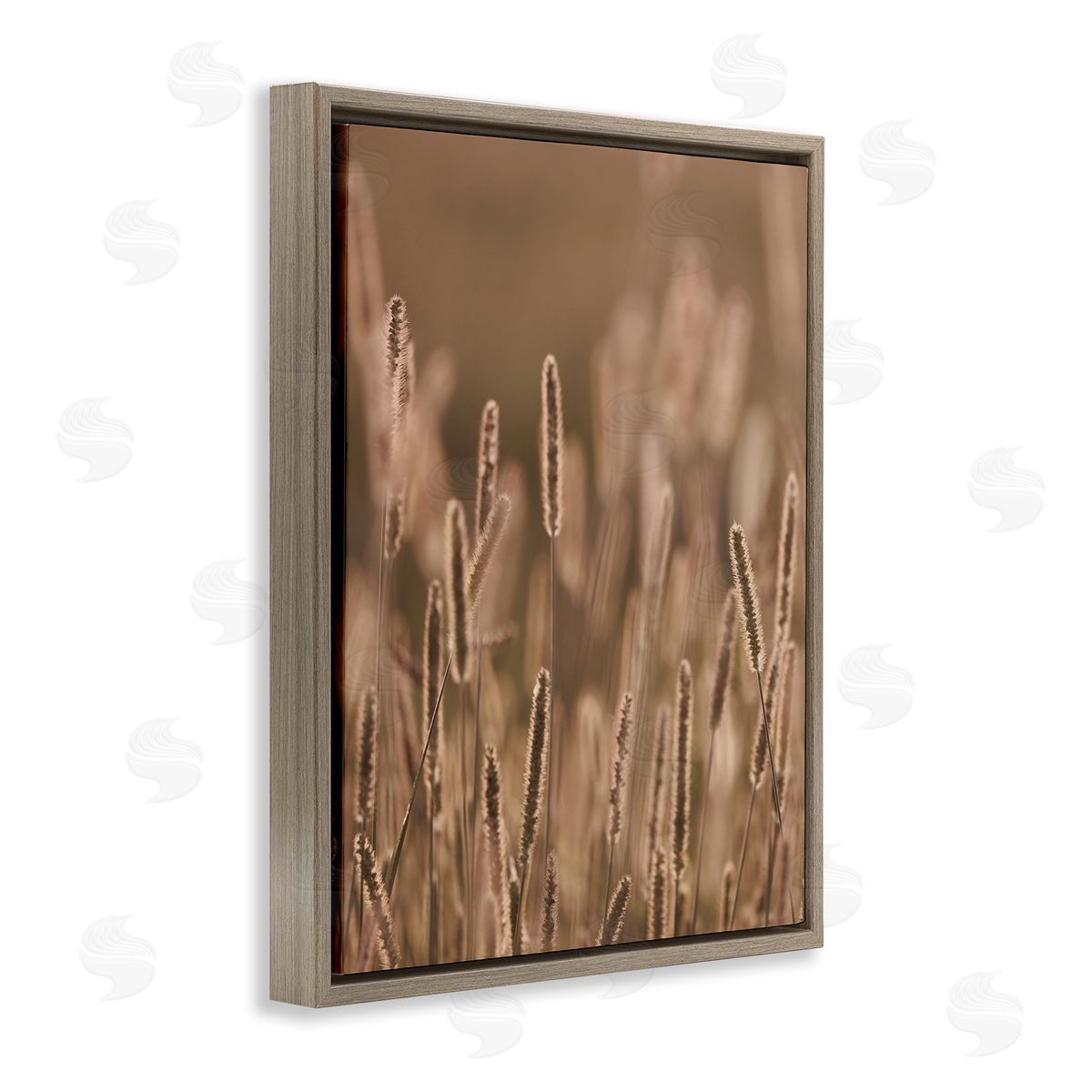 Stupell Studio Rural Wheat Field Nature