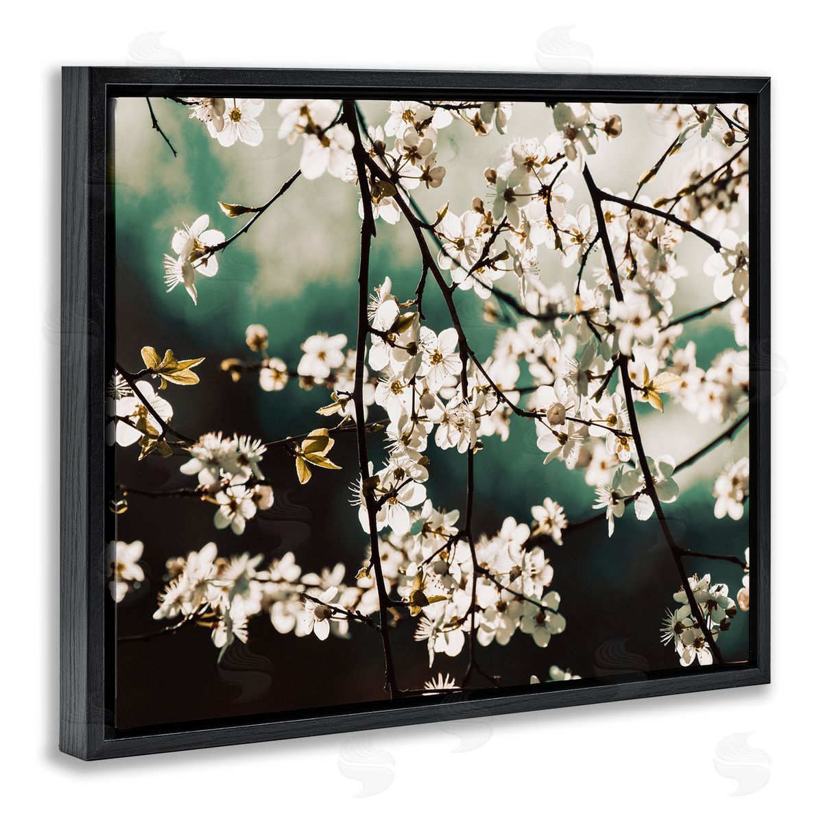 Stupell Studio Cherry Blossom Nature Photography