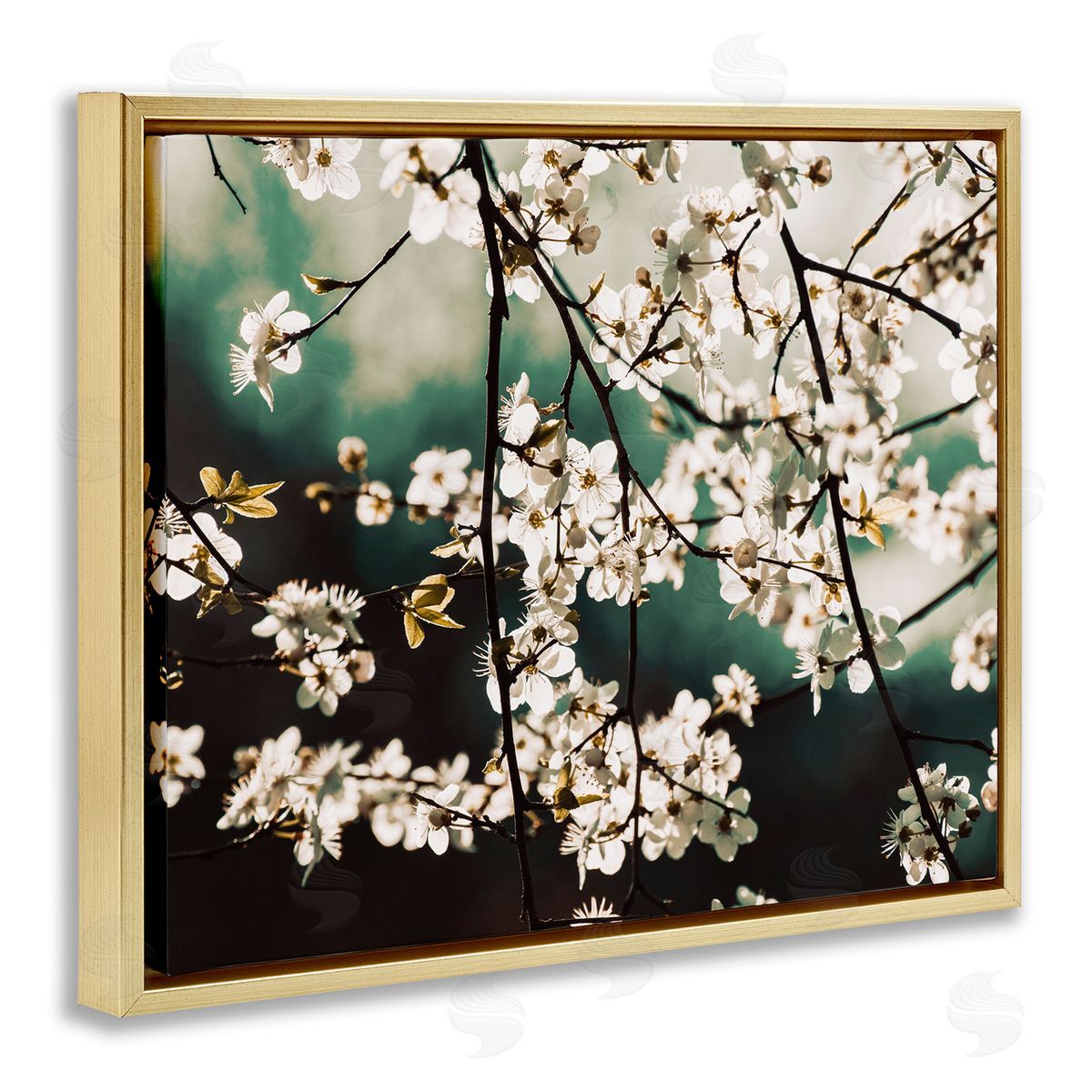 Stupell Studio Cherry Blossom Nature Photography