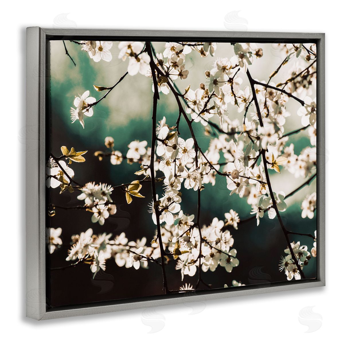 Stupell Studio Cherry Blossom Nature Photography