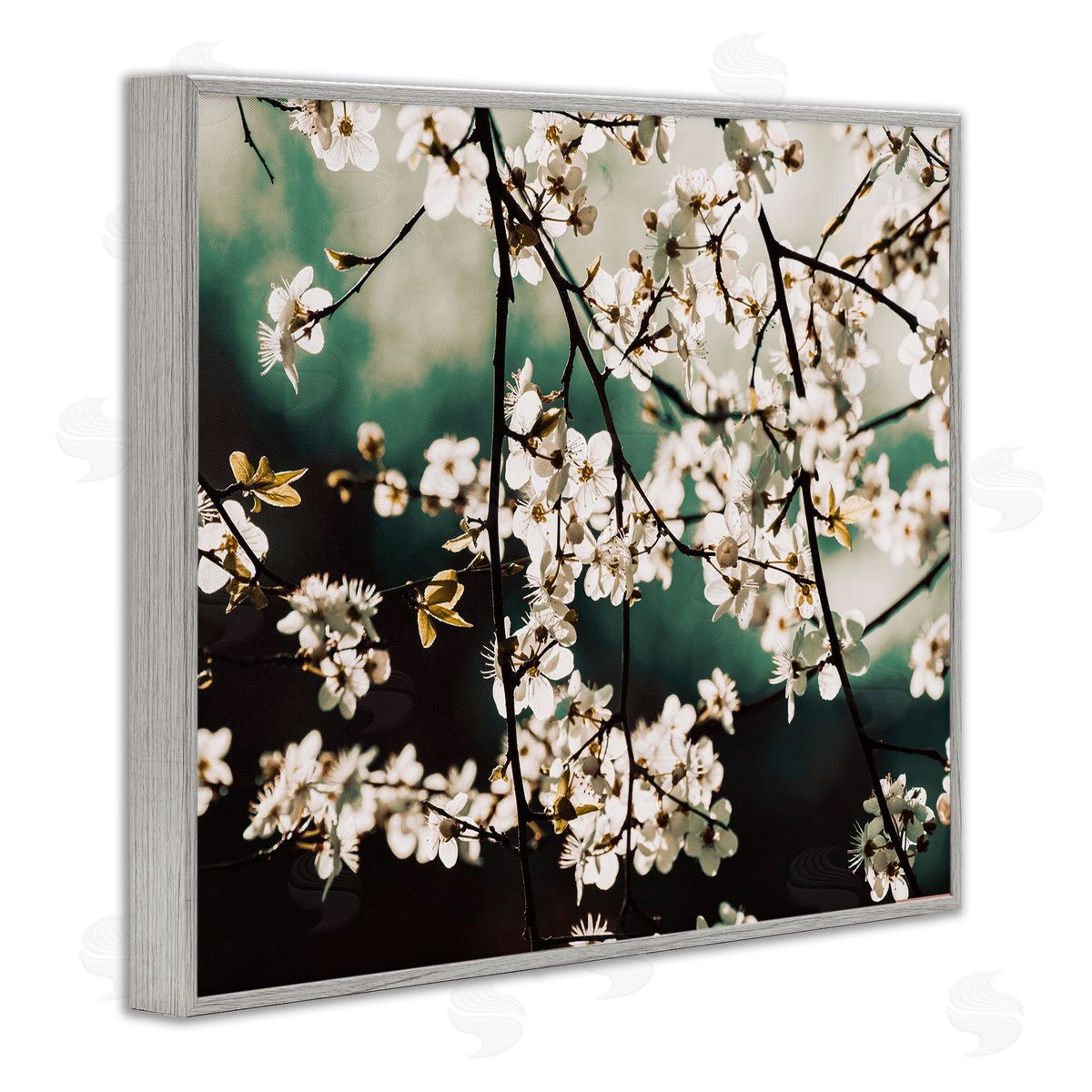 Stupell Studio Cherry Blossom Nature Photography