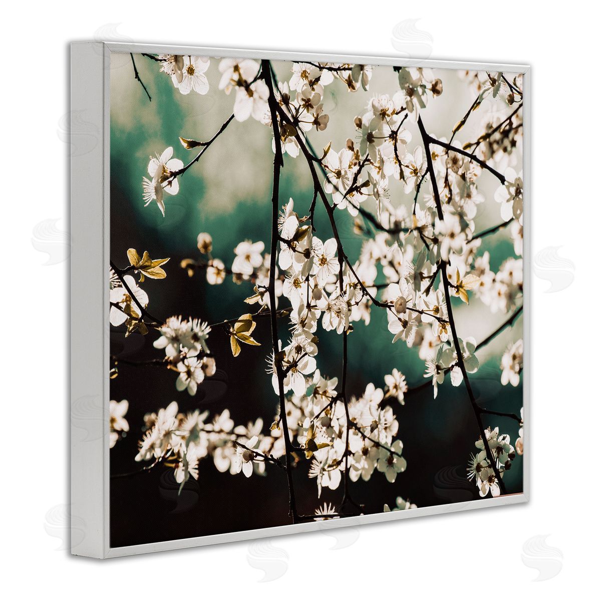 Stupell Studio Cherry Blossom Nature Photography