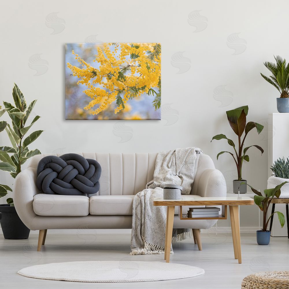 Stupell Studio Yellow Mimosa Tree Flowers Nature