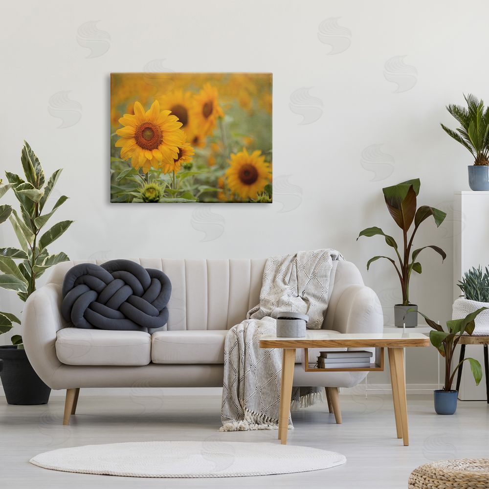 Stupell Studio Sunflower Field Nature Blooms
