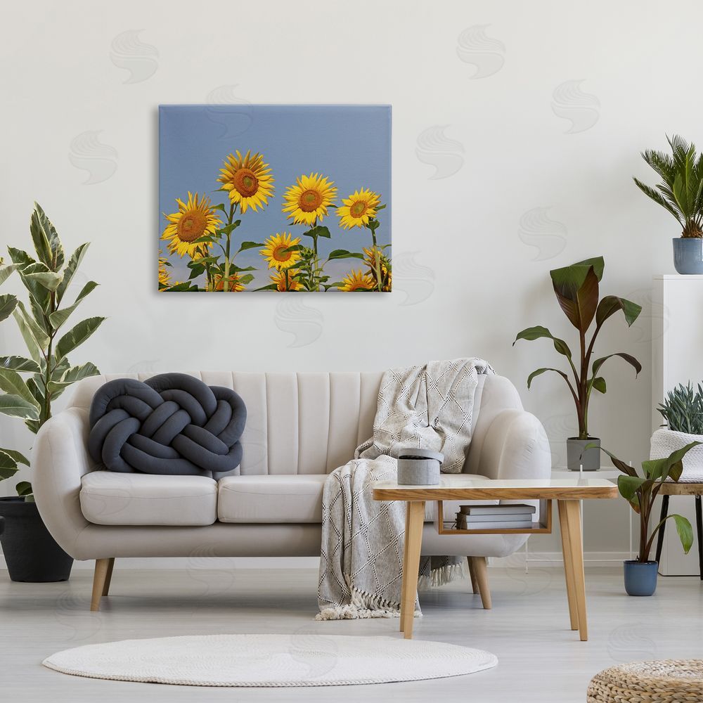 Stupell Studio Sunflower Field Clear Sky