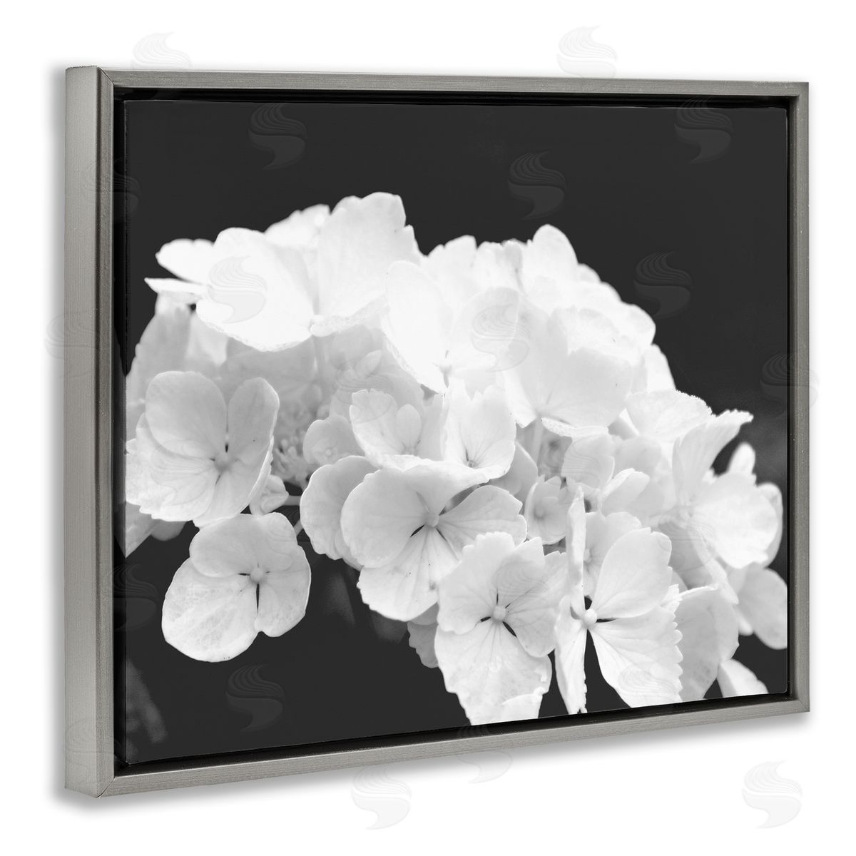 Stupell Studio Delicate White Hydrangea Petals