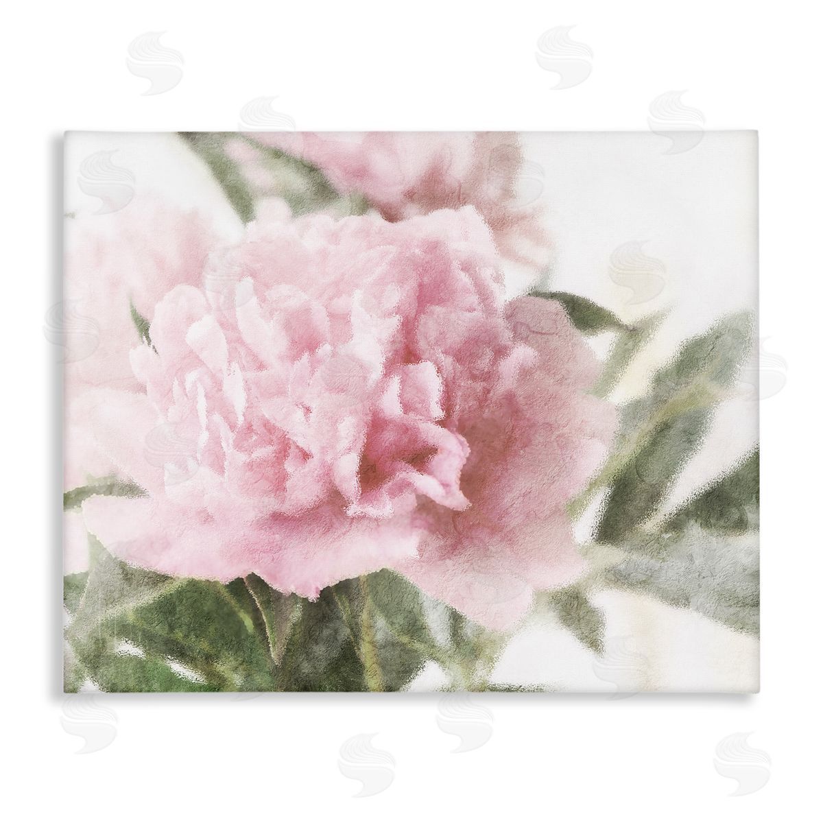 Stupell Studio Soft Pink Carnation Blossom