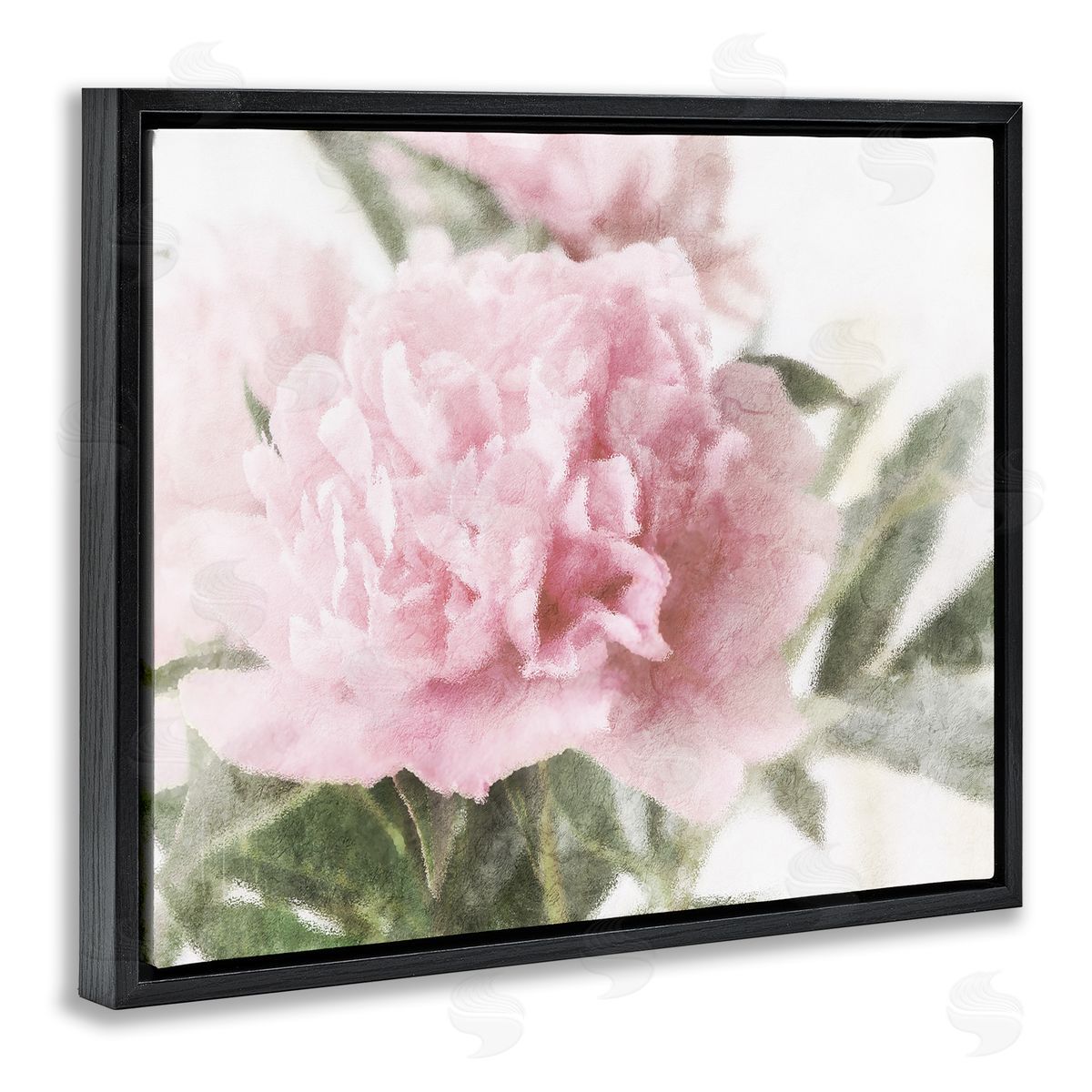 Stupell Studio Soft Pink Carnation Blossom