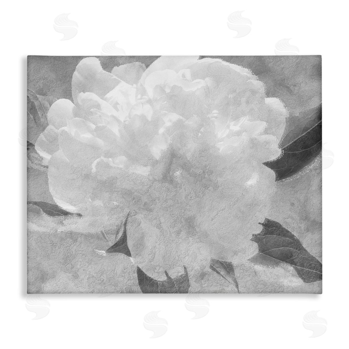 Stupell Studio White Flower Blossom Monochrome