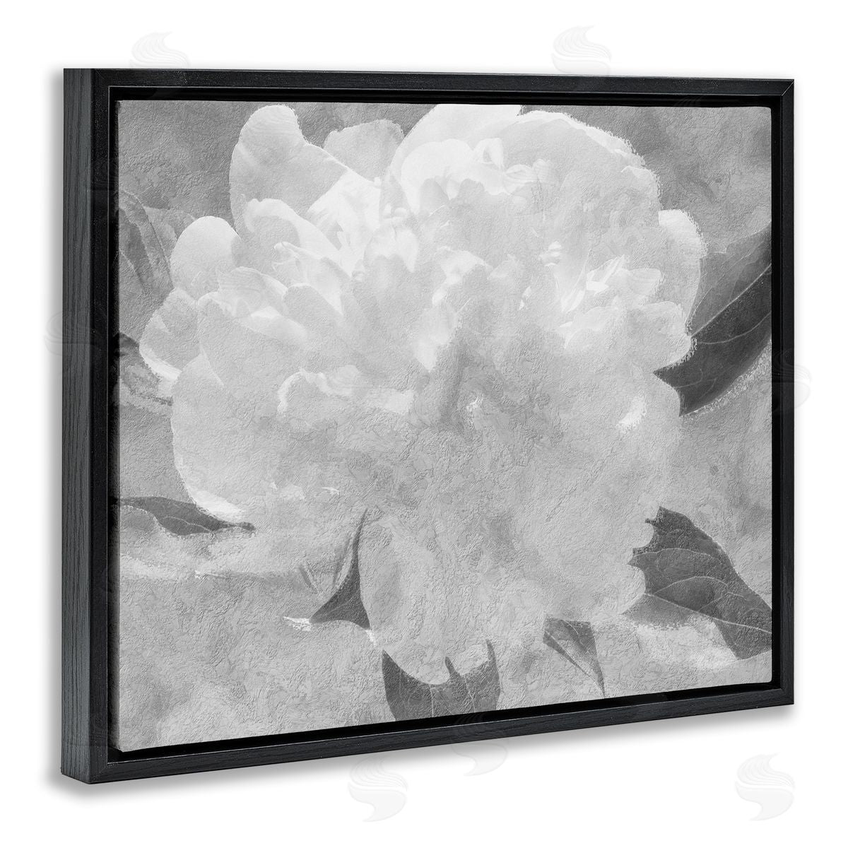 Stupell Studio White Flower Blossom Monochrome