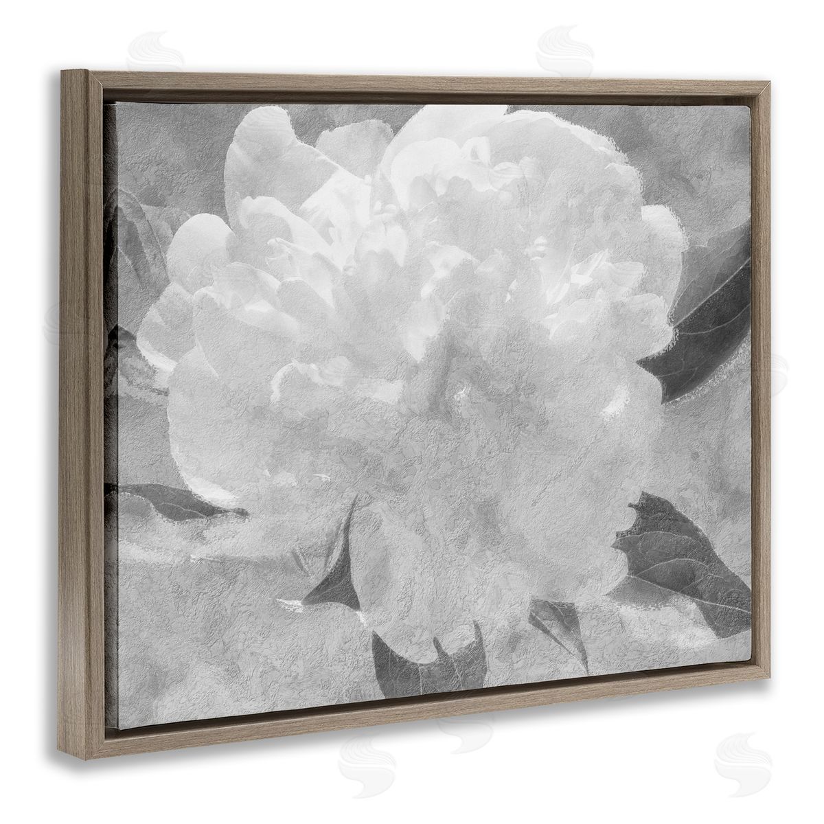 Stupell Studio White Flower Blossom Monochrome