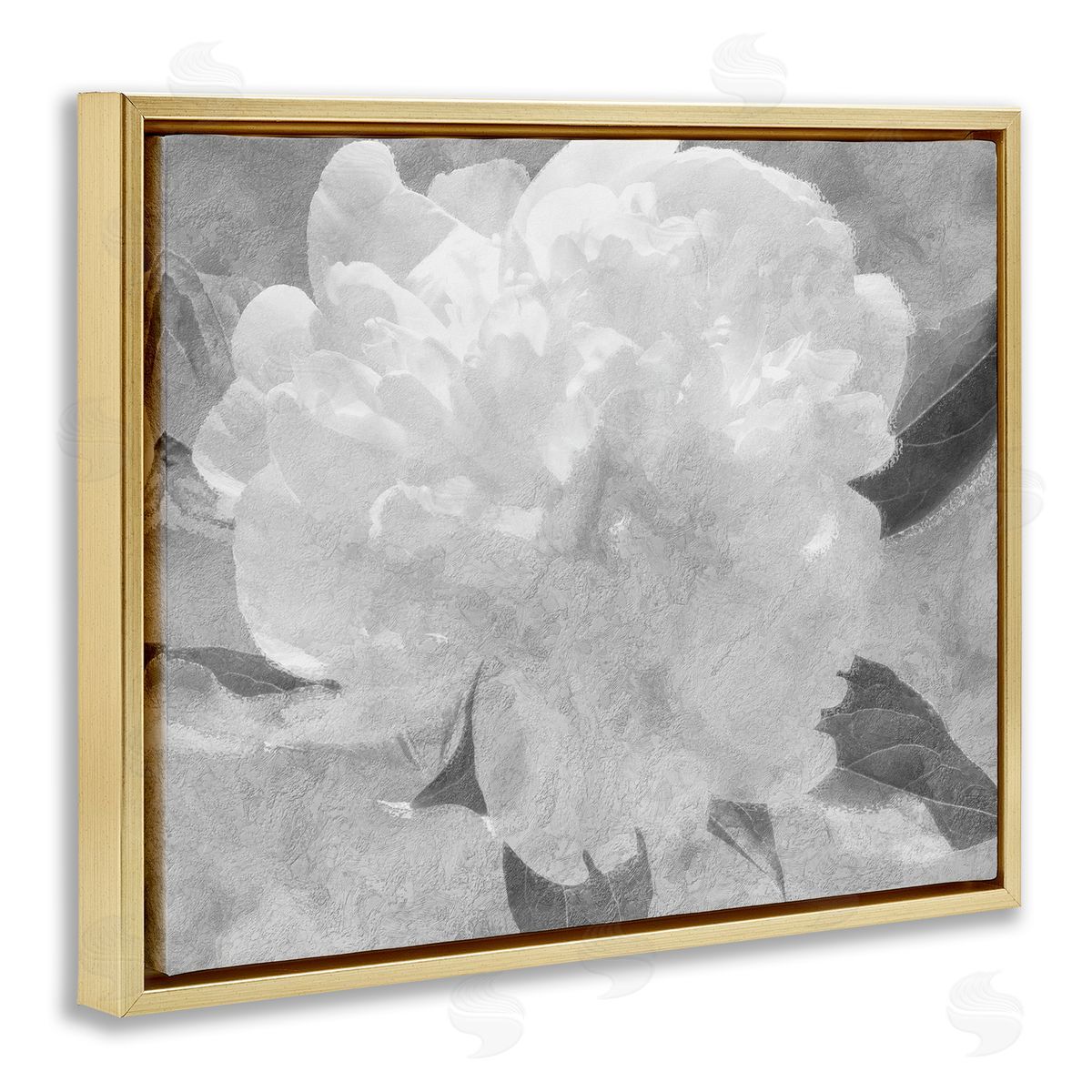 Stupell Studio White Flower Blossom Monochrome