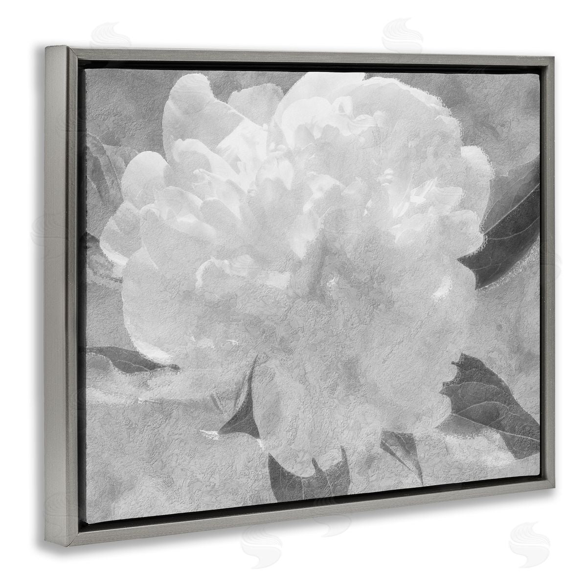 Stupell Studio White Flower Blossom Monochrome