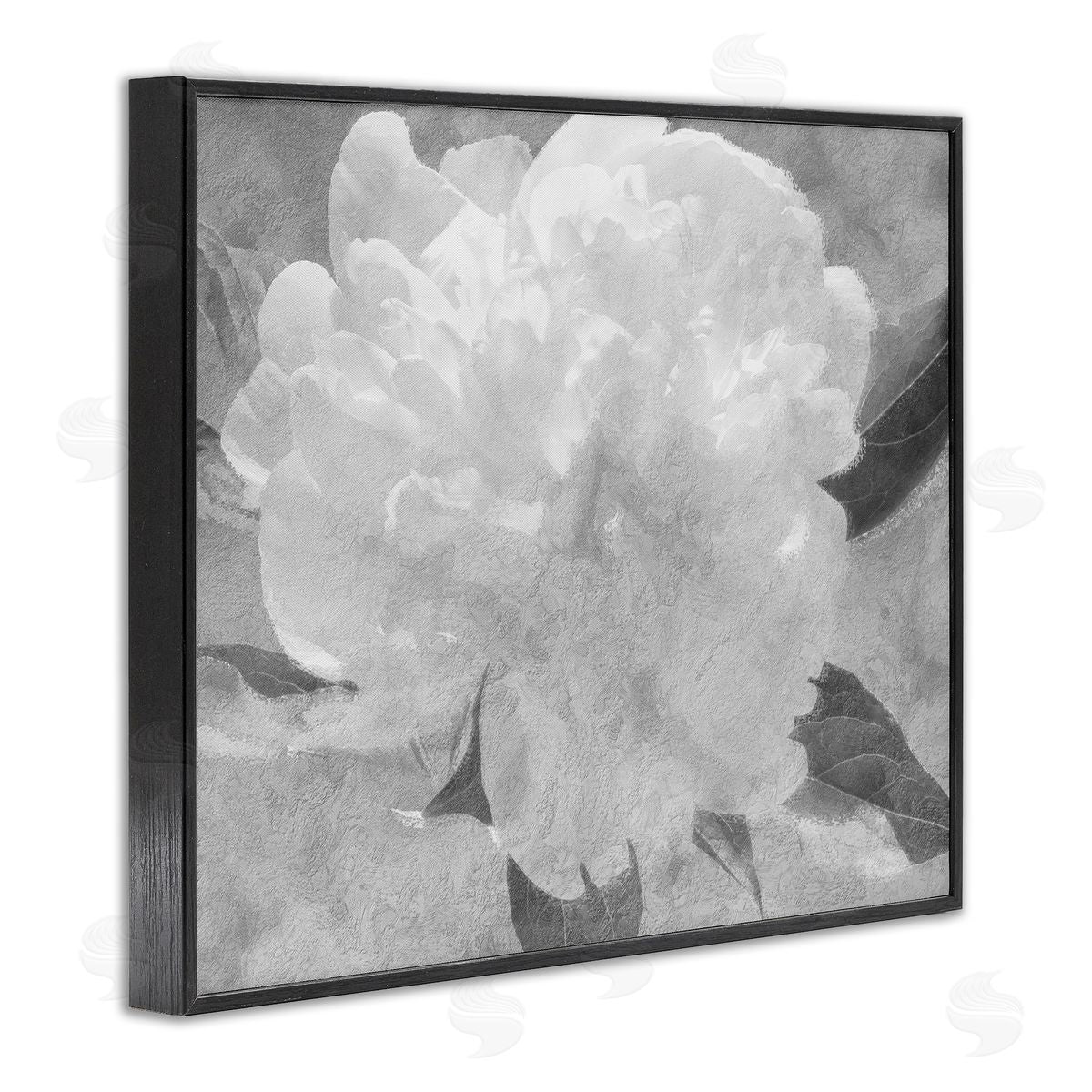 Stupell Studio White Flower Blossom Monochrome