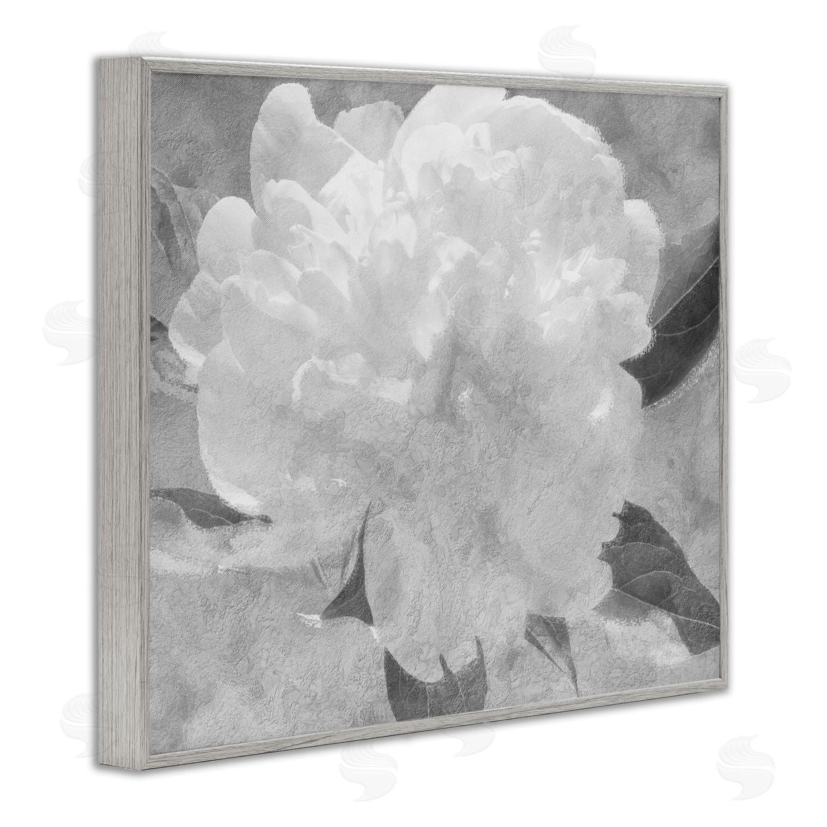 Stupell Studio White Flower Blossom Monochrome