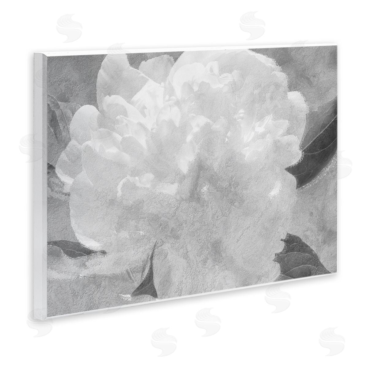 Stupell Studio White Flower Blossom Monochrome