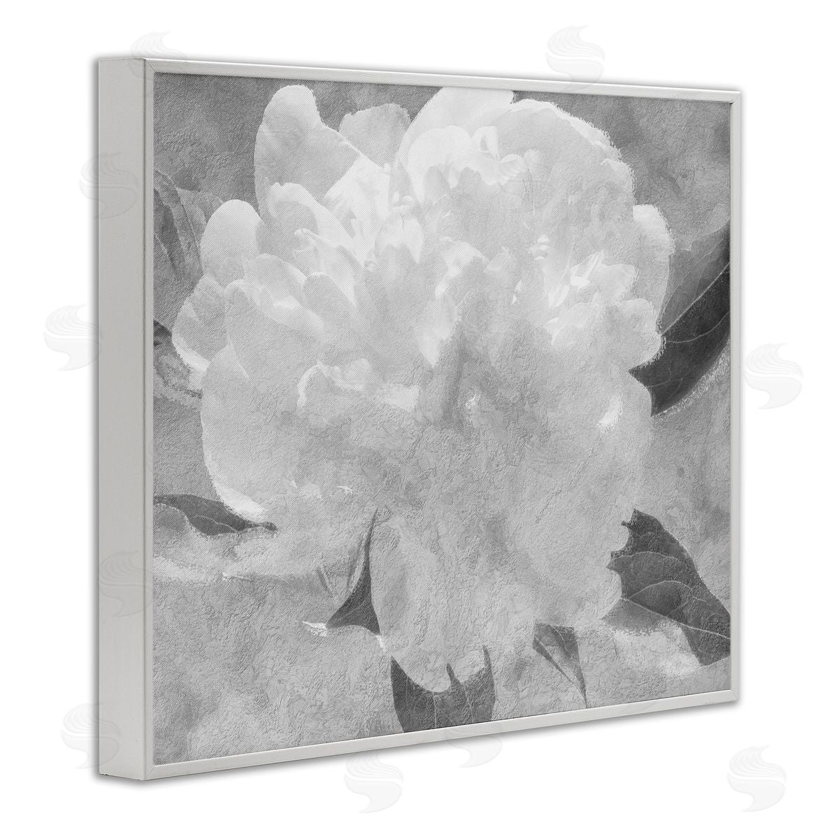 Stupell Studio White Flower Blossom Monochrome