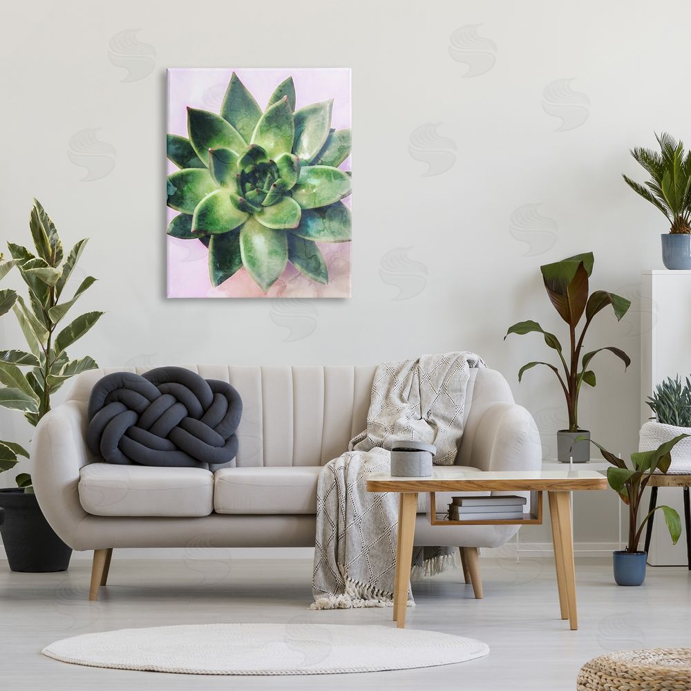 Stupell Studio Round Succulent Plant Leaves