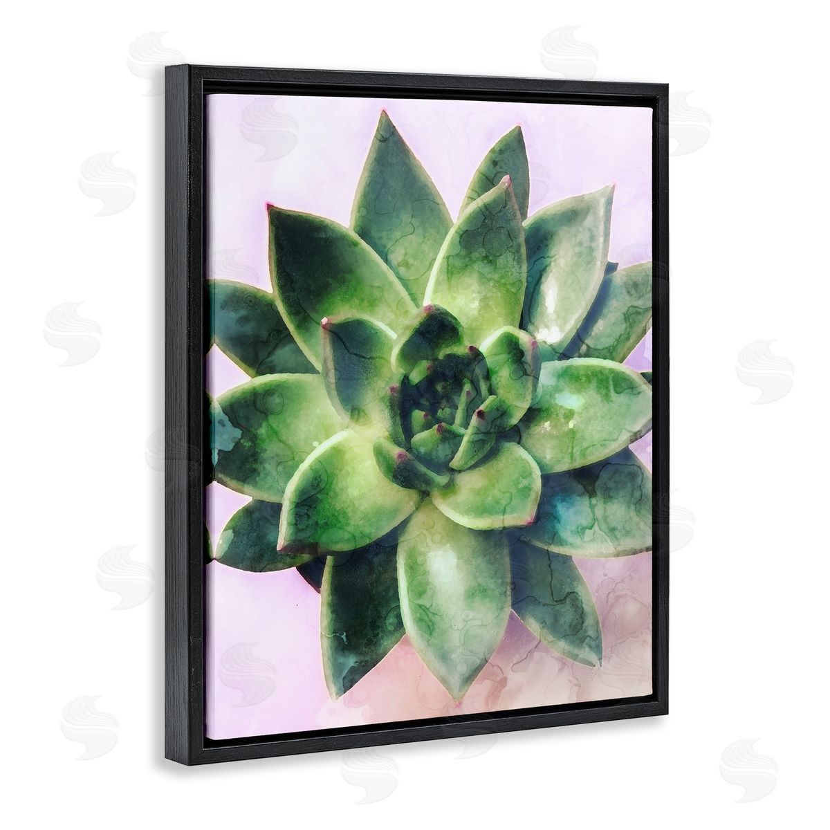 Stupell Studio Round Succulent Plant Leaves