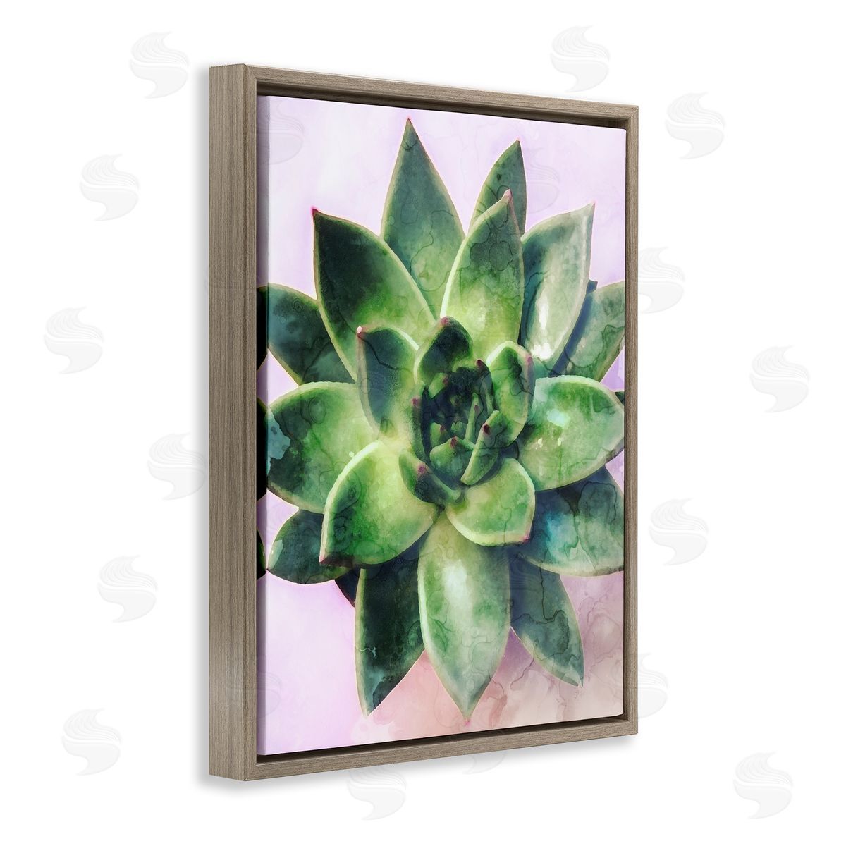 Stupell Studio Round Succulent Plant Leaves