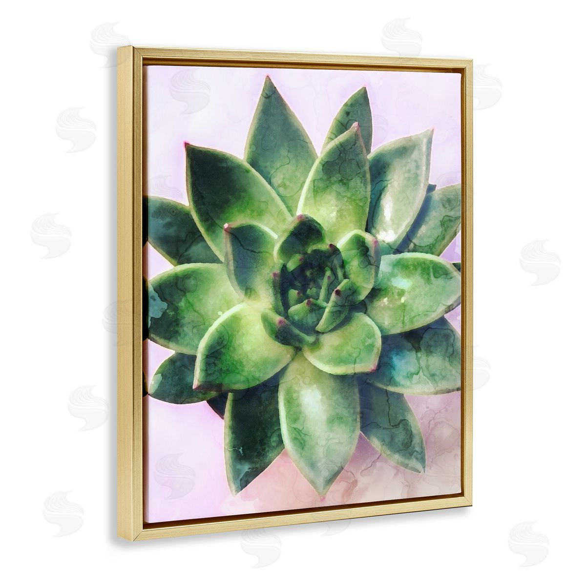 Stupell Studio Round Succulent Plant Leaves