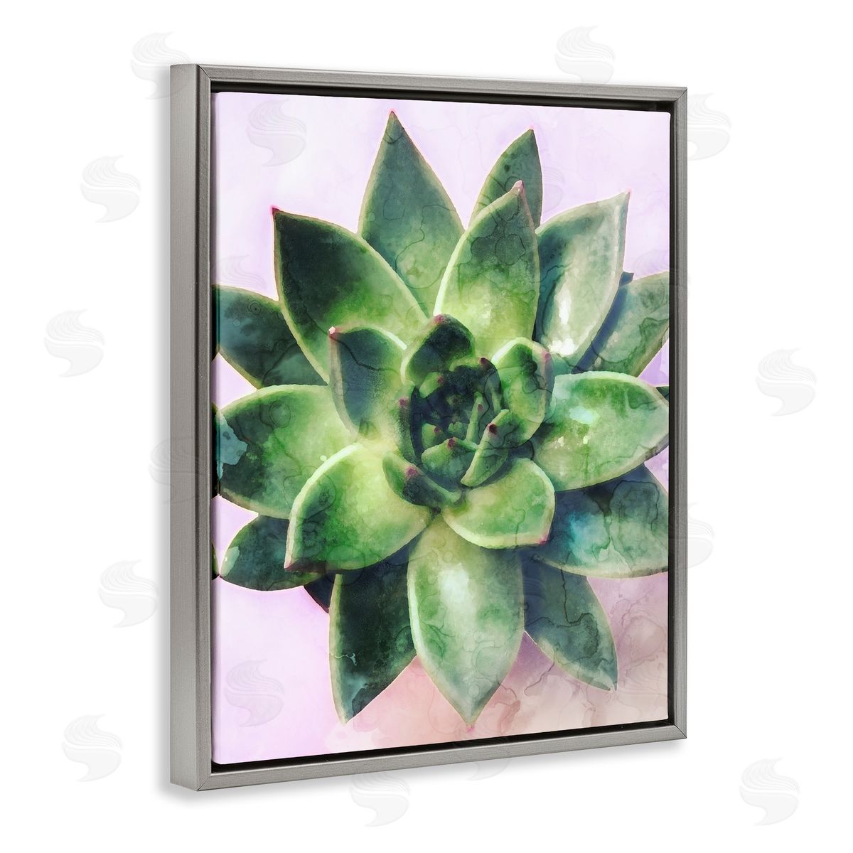 Stupell Studio Round Succulent Plant Leaves