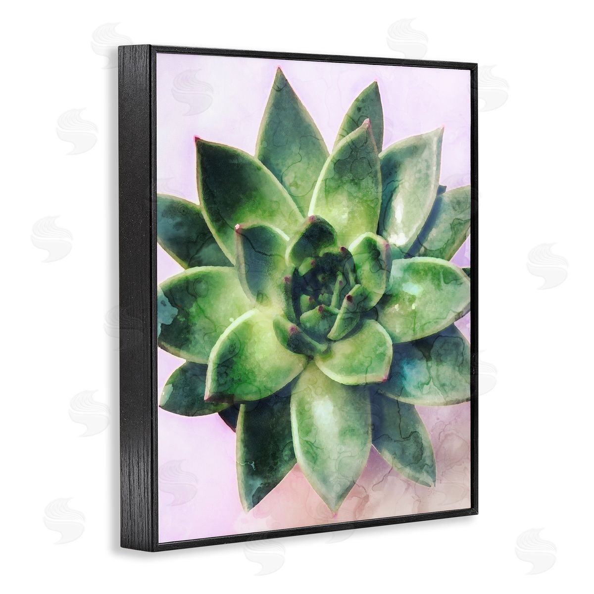 Stupell Studio Round Succulent Plant Leaves