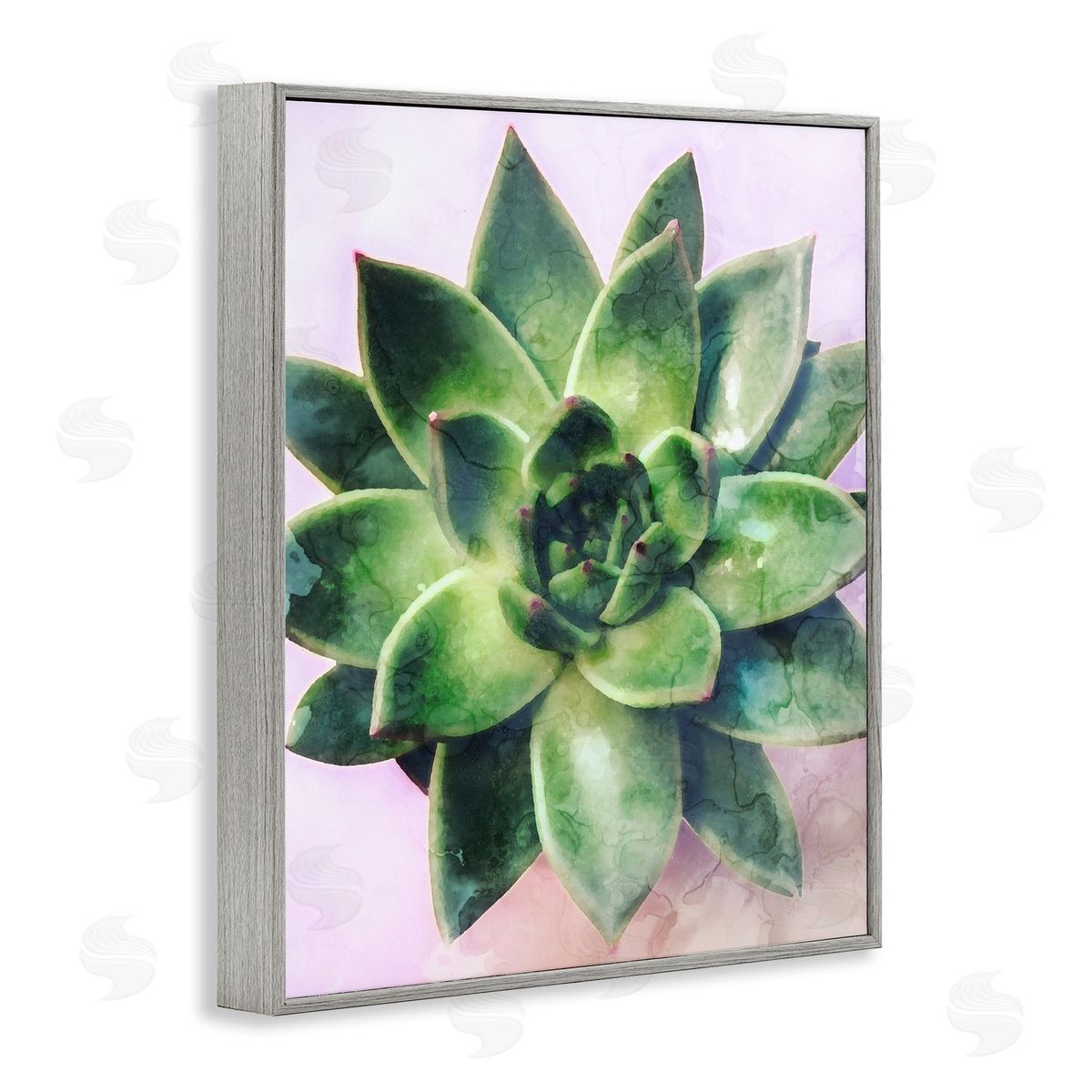 Stupell Studio Round Succulent Plant Leaves
