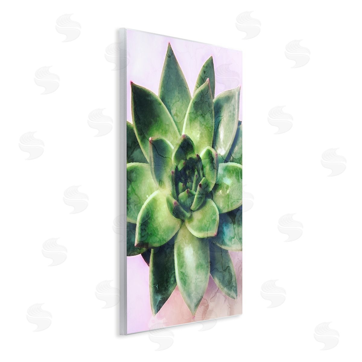 Stupell Studio Round Succulent Plant Leaves