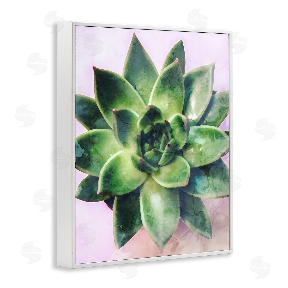 Stupell Studio Round Succulent Plant Leaves