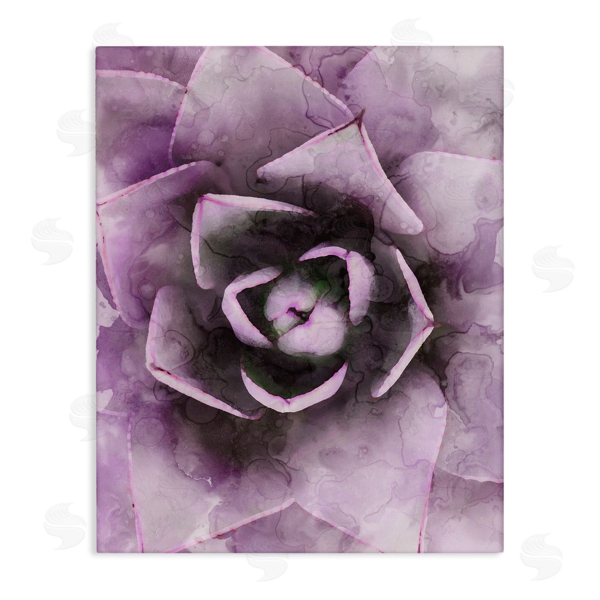 Stupell Studio Modern Purple Succulent Leaves