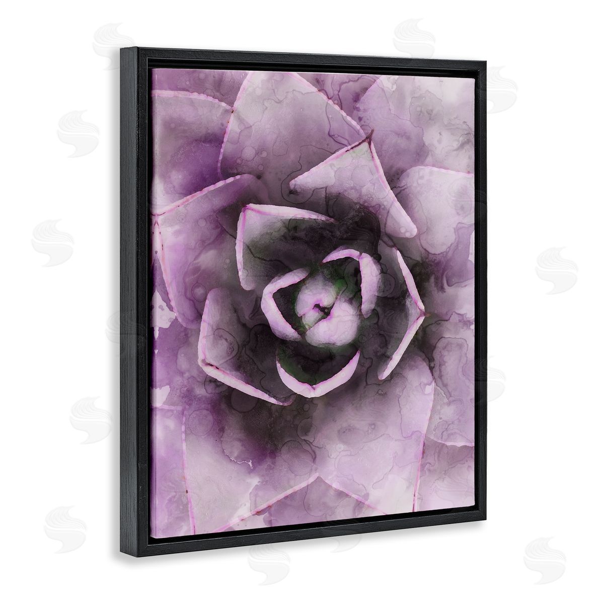 Stupell Studio Modern Purple Succulent Leaves