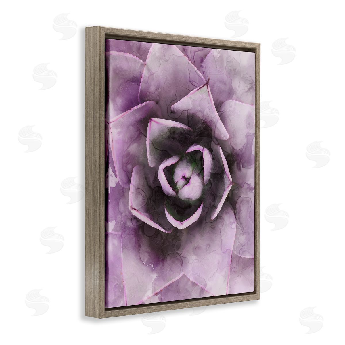 Stupell Studio Modern Purple Succulent Leaves