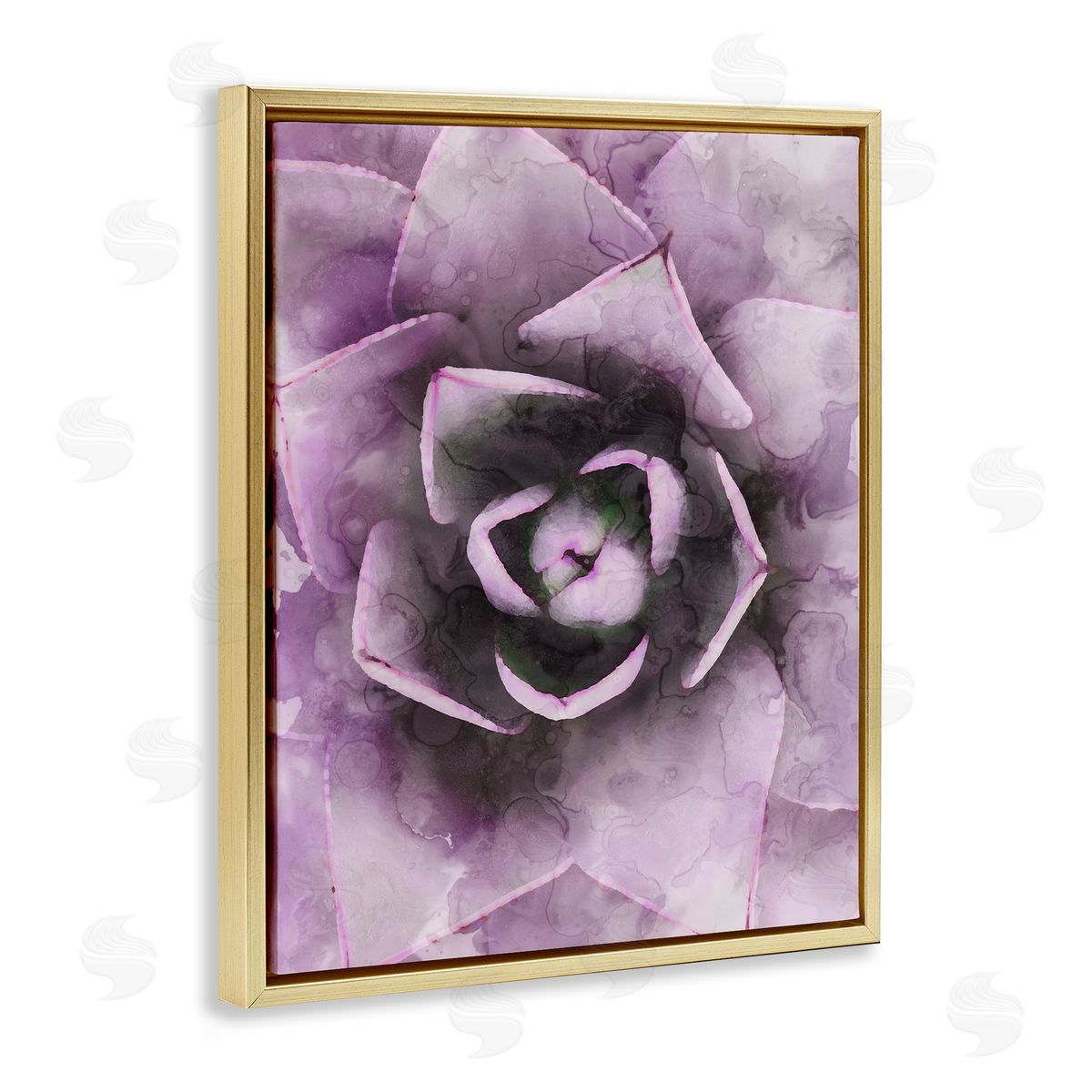 Stupell Studio Modern Purple Succulent Leaves